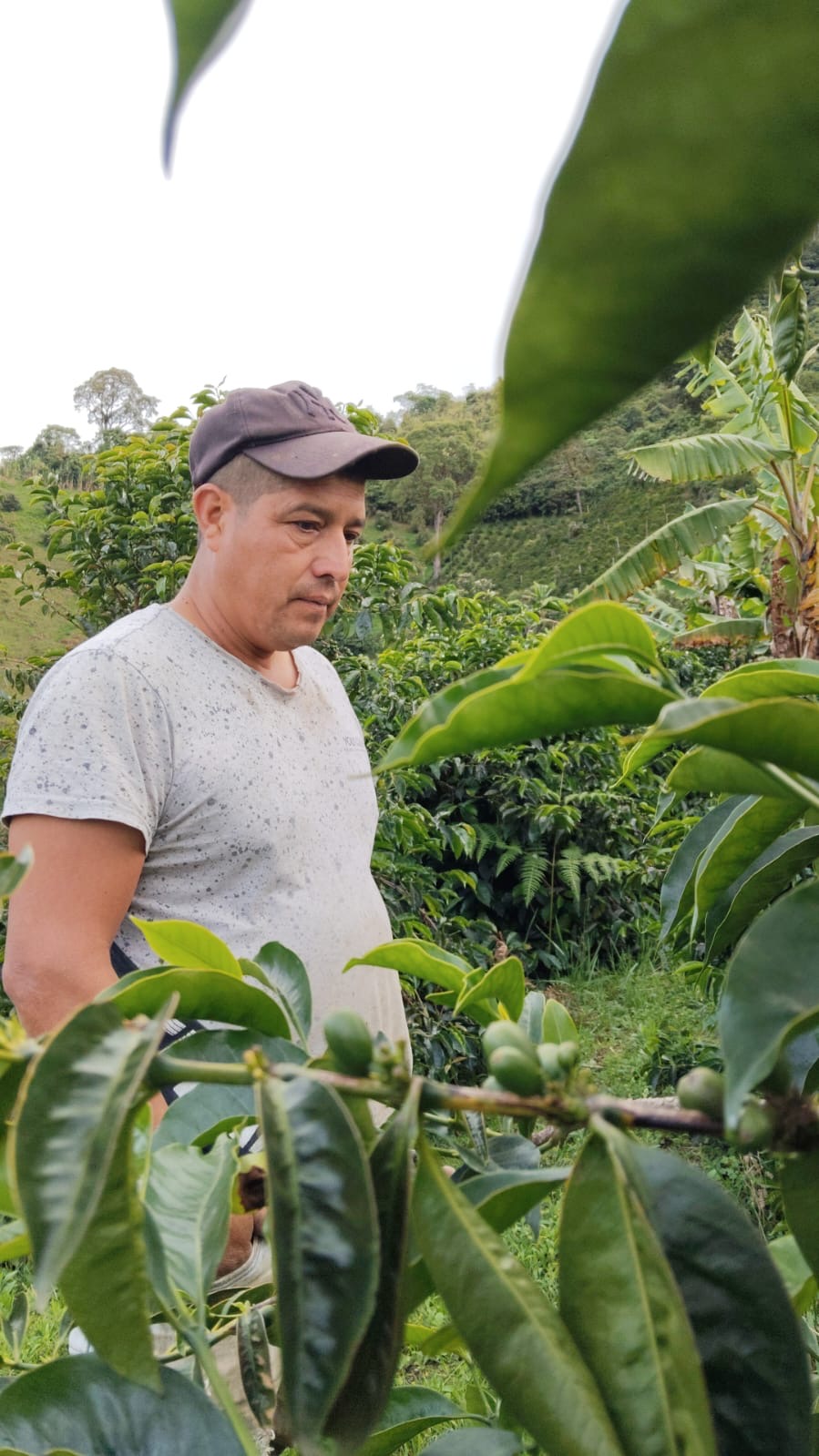 Demetrio Sanchez Pino