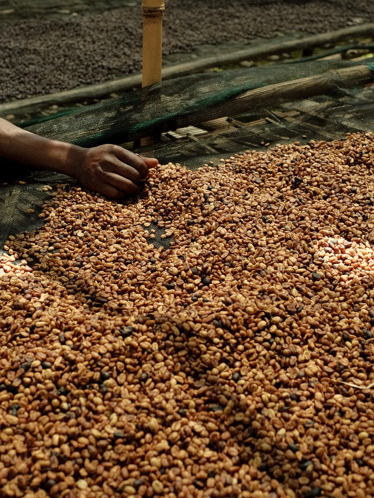 Chilaka Honey