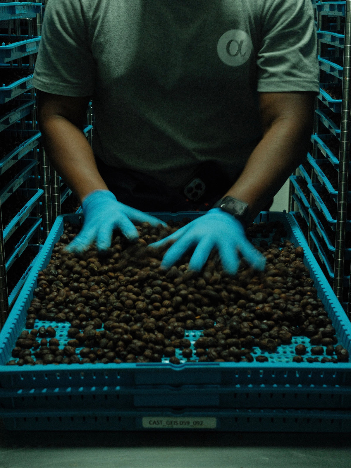 Lost Origin x Las Margaritas #226