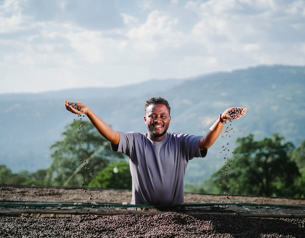 ALO Chilaka anaérobie